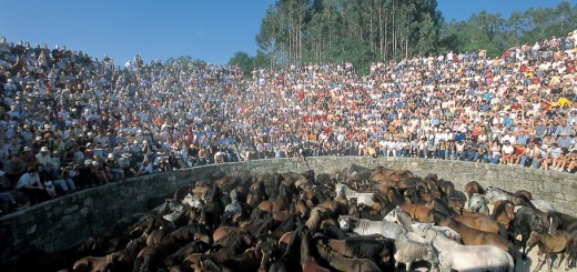Foto de la A Rapa das Bestas de Sabucedo en A Estrada