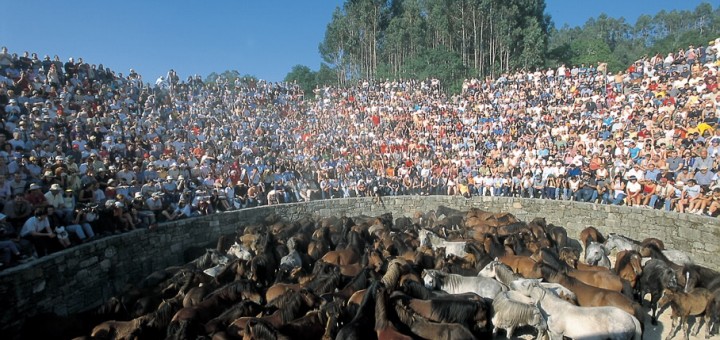 Foto de la A Rapa das Bestas de Sabucedo en A Estrada