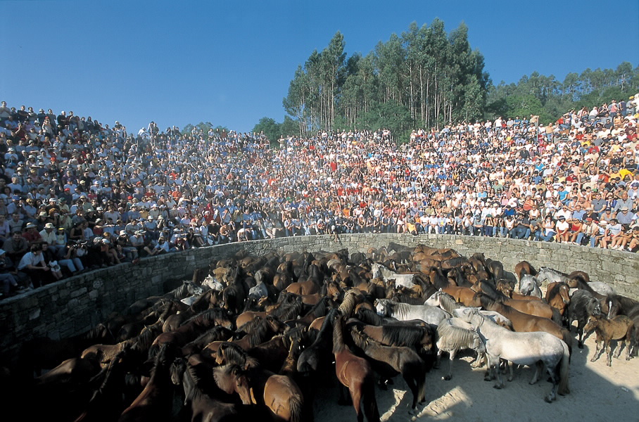 Foto de la A Rapa das Bestas de Sabucedo en A Estrada