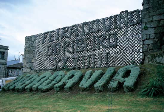 Foto de la Feira exposición exaltación do viño da zona do Ribeiro en Ribadavia