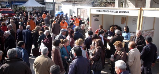 Foto de la Festa da Castaña e do Cogomelo en Riós