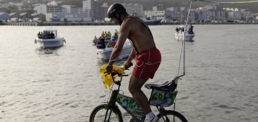 Foto de la Festa da Dorna en Ribeira