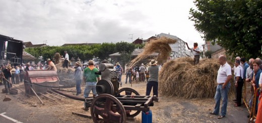Foto de la Festa da Malla en Meira
