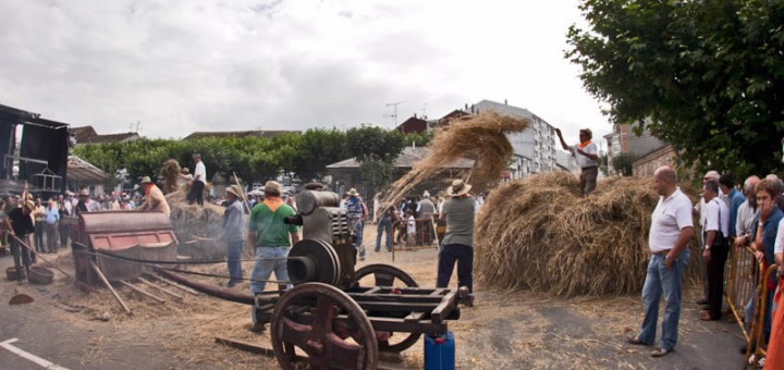 Foto de la Festa da Malla en Meira