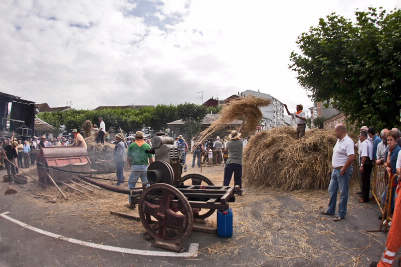 Foto de la Festa da Malla en Meira