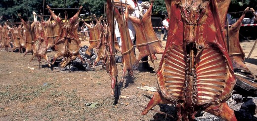 Foto de la Festa do Carneiro ó Espeto en Moraña