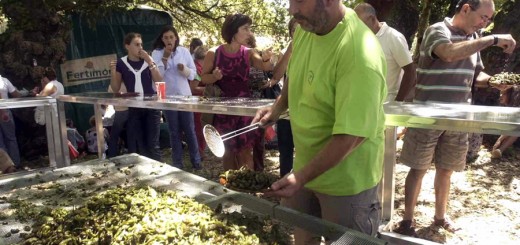Foto de la Festa do Pemento de Herbón en Padrón