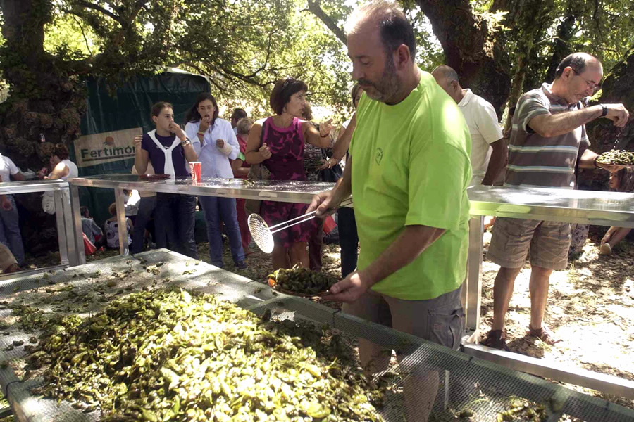 Foto de la Festa do Pemento de Herbón en Padrón