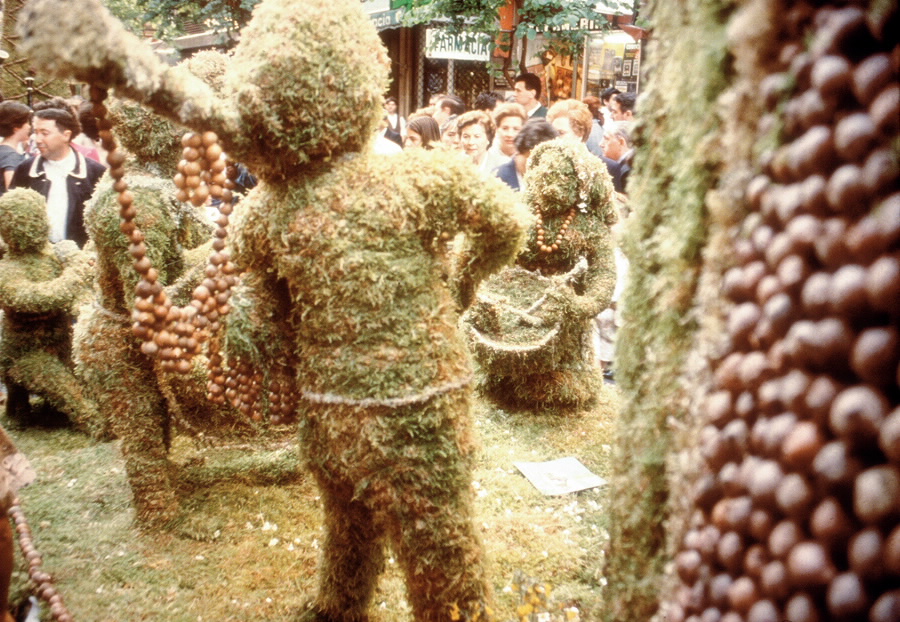 Foto de la Festa dos Maios en Ourense