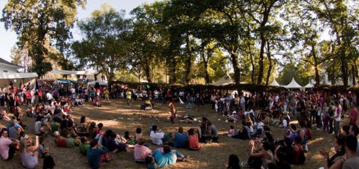 Foto de la Festival de Pardiñas en Guitiriz