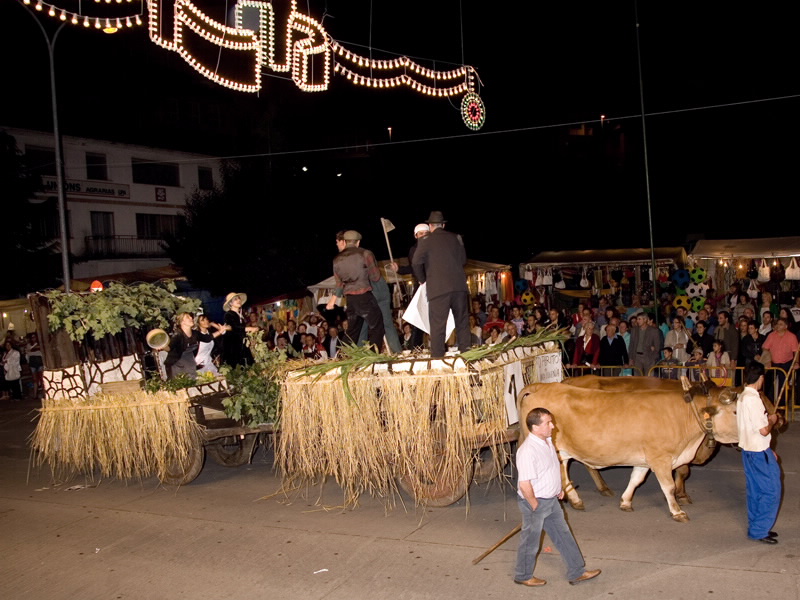 Foto de la Folión de Carros de Chantada en Chantada
