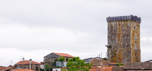 Foto de la Romaría Etnográfica Raigame de Vilanova en Celanova