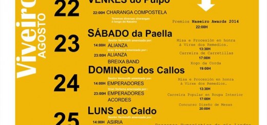 Cartel de Romería do Naseiro 2014 de Viveiro