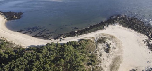 Foto de Playa A Lamiña en A Guarda