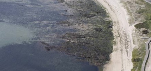 Foto de Playa A Tasca en Ribeira