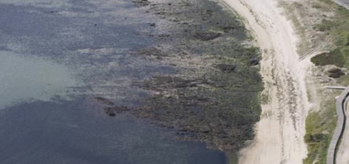 Foto de Playa A Tasca en Ribeira