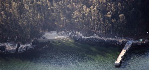 Foto de Playa Adreira (Illa de Tambo) en Poio
