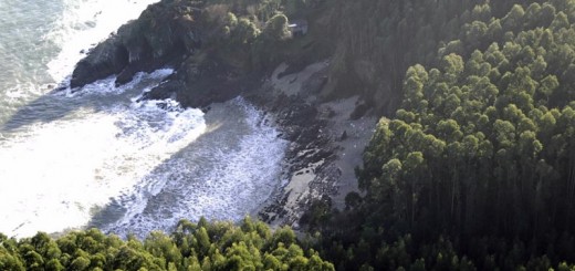Foto de Playa Alegrin en Viveiro