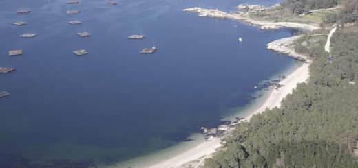 Foto de Playa Area de Secada en A Illa de Arousa