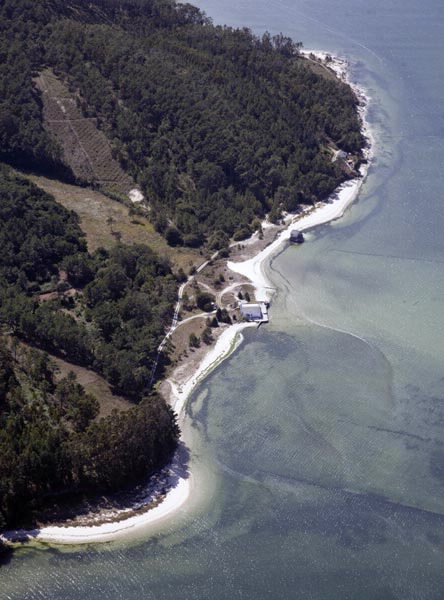 Foto de Playa Area grande en Muxía