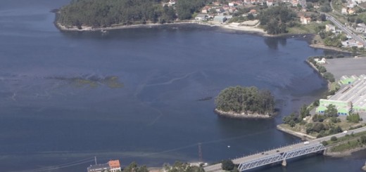 Foto de Playa Areeiros en Vilaboa