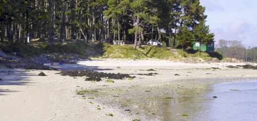 Foto de Playa Ariño en Camariñas