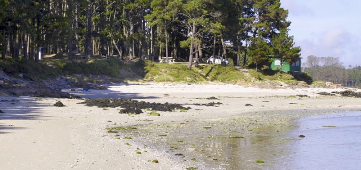 Foto de Playa Ariño en Camariñas