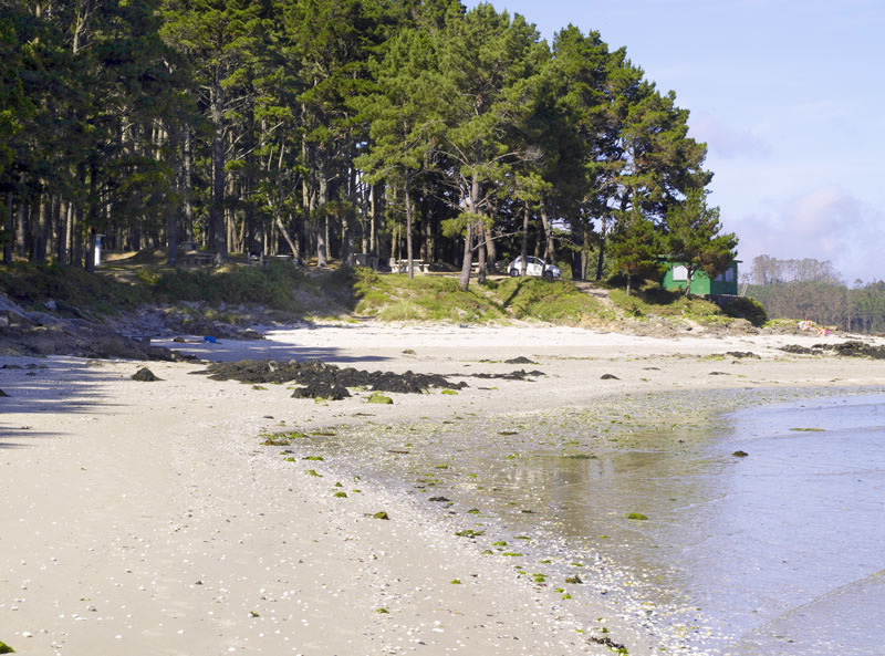 Foto de Playa Ariño en Camariñas