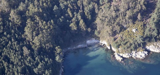Foto de Playa Arnela en Outes