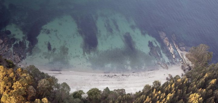 Foto de Playa Arnela en Sada