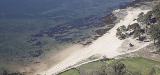 Foto de Playa As Patiñas en Vilanova de Arousa