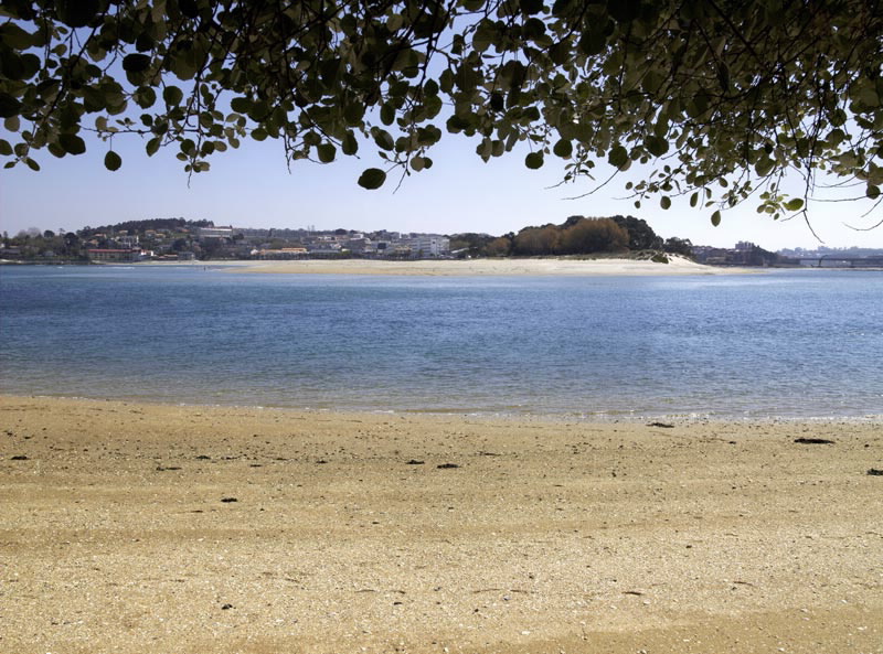 Foto de Playa As Xubias en A Coruña