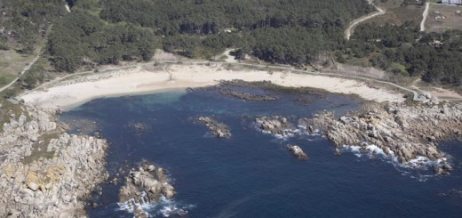 Foto de Playa Canelas en O Grove