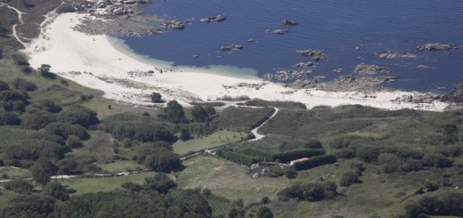 Foto de Playa Castiñeira en O Grove