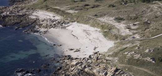 Foto de Playa Celeirans en Ribeira