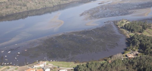 Foto de Playa Corvas en Noia