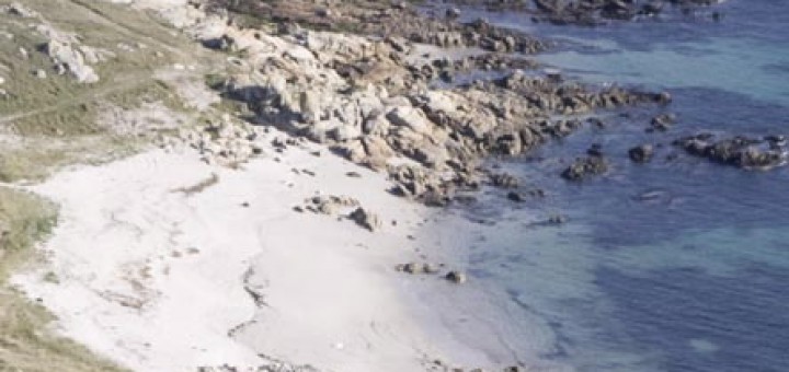 Foto de Playa Covasa en Ribeira