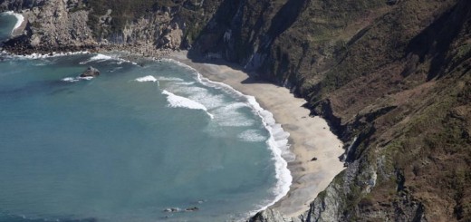 Foto de Playa Do Castro en Ortigueira