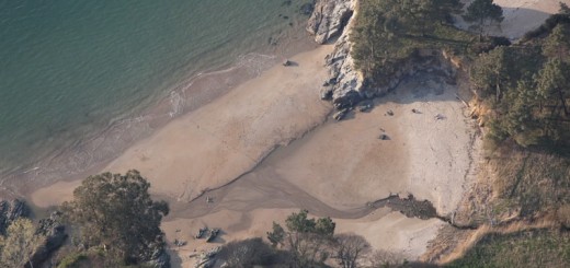 Foto de Playa Marín en Miño
