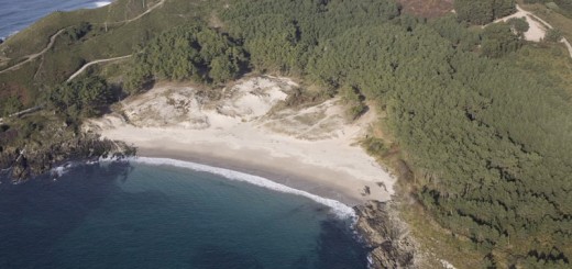 Foto de Playa Melide (Espacio natural Cabo Home) en Cangas