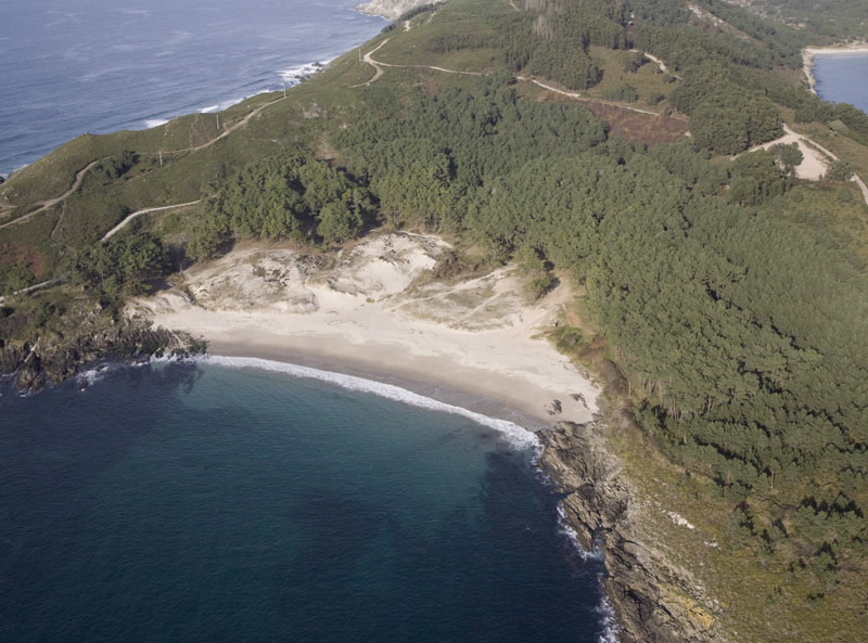 Foto de Playa Melide (Espacio natural Cabo Home) en Cangas