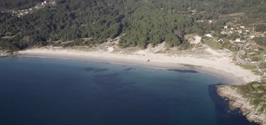 Foto de Playa Nerga (Espacio natural Cabo Home) en Cangas