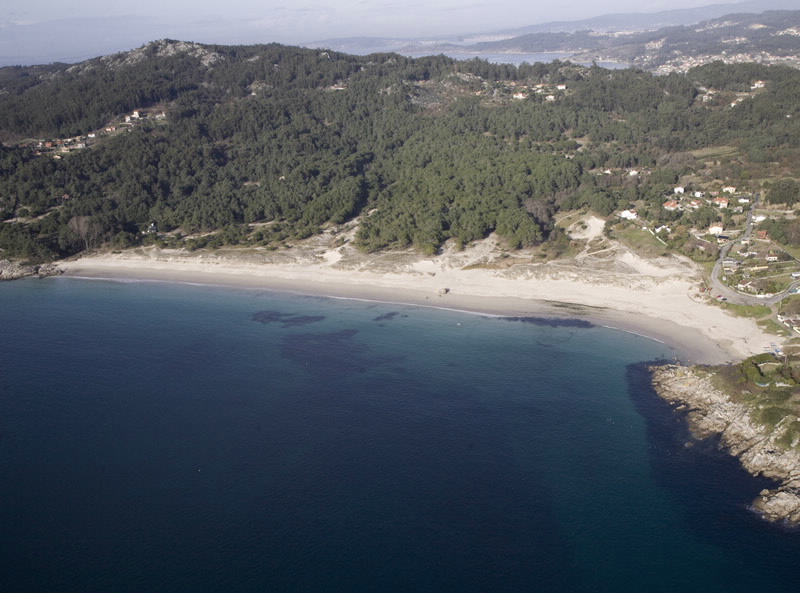 Foto de Playa Nerga (Espacio natural Cabo Home) en Cangas
