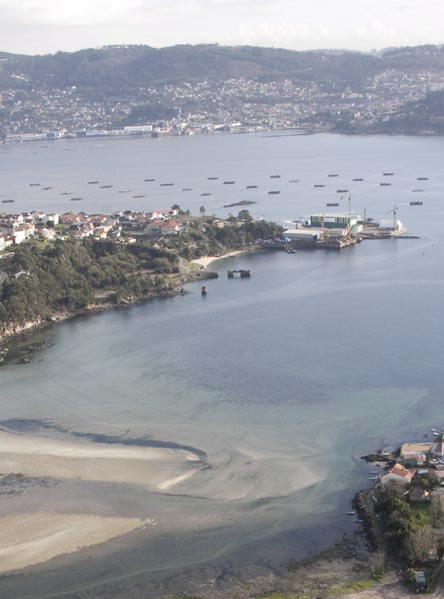 Foto de Playa O Cocho en Moaña