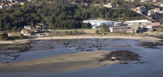 Foto de Playa O Codesal en A Guarda