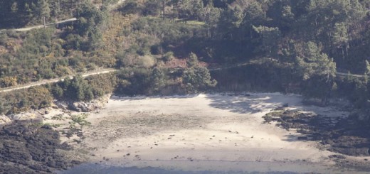Foto de Playa O Picouso en Outes
