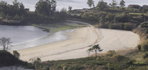Foto de Playa O Porrón en Rianxo