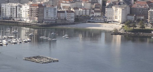 Foto de Playa Panadeira en Sanxenxo