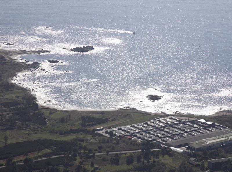 Foto de Playa Pedrullo en Carnota