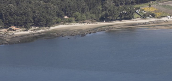 Foto de Playa Pereiro en Cambados